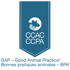 CCAC Certificate of GAP ribbon