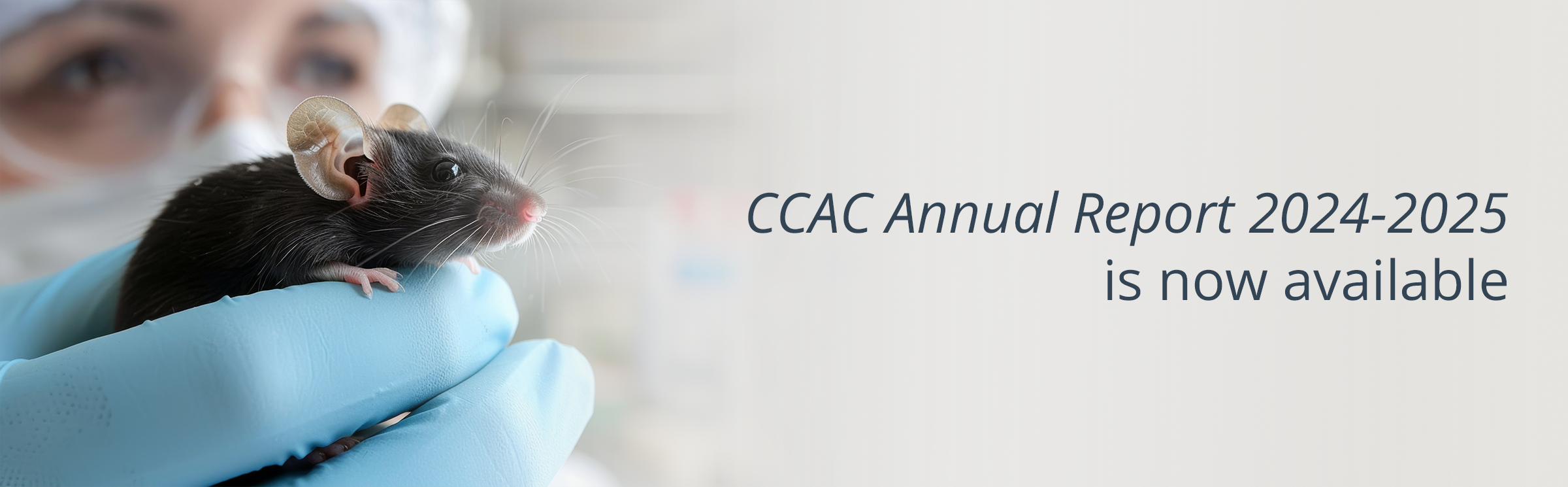 Couver of the CCAC 2024-2025 Annual Report